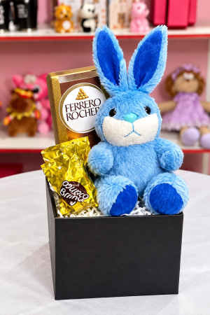 cesta de chocolate